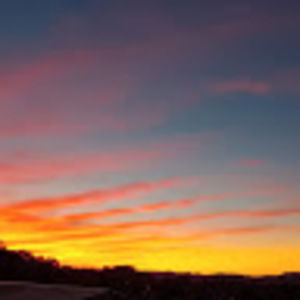 Meet your Posher, Allen